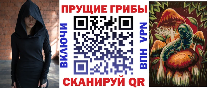 закладки Симферополь Галлюциногенные грибы Cubensis